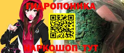 ешки Кингисепп