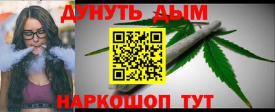 индика Кинель