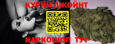 ешки Кингисепп