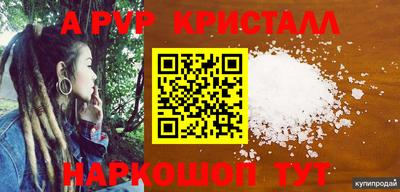 ешки Кингисепп