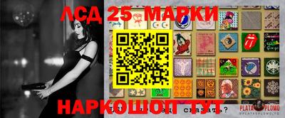индика Кинель