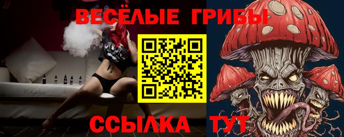 дарнет шоп  Псилоцибиновые грибы ЛСД  Вход с VPN  Кубинка 